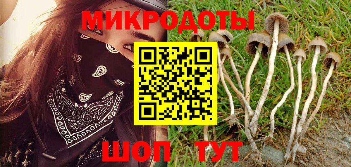 Галлюциногенные грибы Magic Shrooms  Вход с VPN  Лесосибирск 